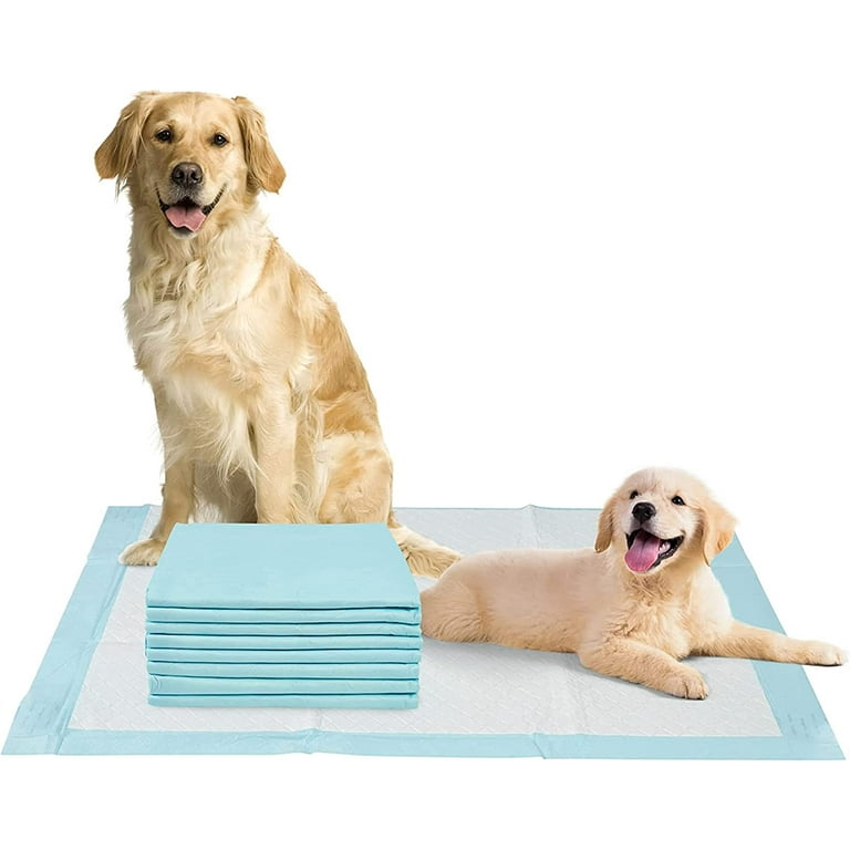 Adhesive puppy pads walmart hotsell