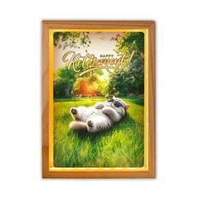 Happy Retirement with Exotic Shorthair Enjoy Life Rest Time Acrylic Plaque with Wood Photo Frame Box Cat Lover Kitten Owner Gifts Light Box - 02027