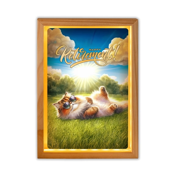 Happy Retirement with Persian Enjoy Life Rest Time Acrylic Plaque with Wood Photo Frame Box Cat Lover Kitten Owner Gifts Light Box - 02027