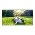 thumbnail image 1 of Happy Retirement with Ragdoll Enjoy Life Rest Time Desk Mat Full Keyboard Mouse Pad Cat Lover Kitten Owner Gifts Idea Large Mousepad - 02027, 1 of 5