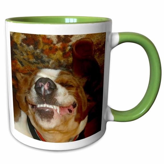 3drose, Happy Smiling Basset Hound, 11oz Two-tone Green Mug
