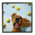 thumbnail image 1 of Happy Smiling Pet Dog with Yellow Tennis Balls Animals & Insects Framed Art Print Wall Art, 17x17, 1 of 7