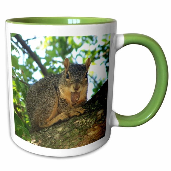 3drose, Happy Squirrel, 15oz Two-tone Green Mug
