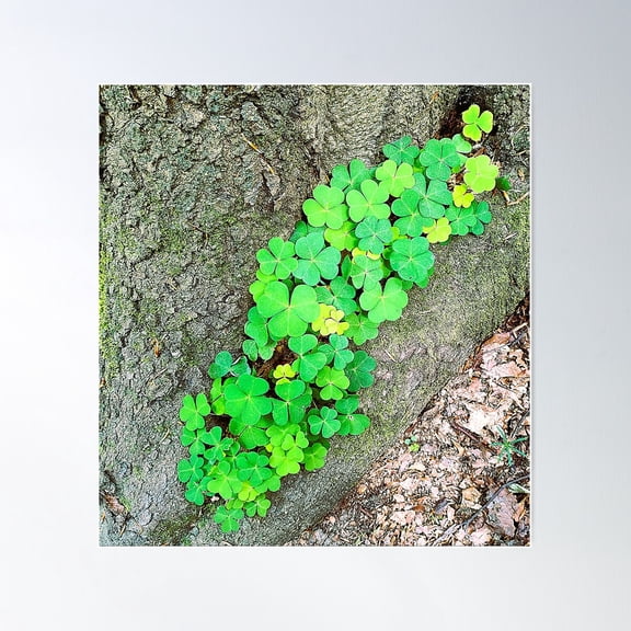 Happy St. Patrick'S Day, Find Four-Leaf Clover Poster Wall Art, Modern Wall Decor For Living Room Bedroom, 24x36 UNFRAMED
