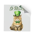 thumbnail image 1 of Happy St. Patrick’s Day Exotic Shorthair with Green Hat Shamrocks Rainbow Cutout Transfer Sticker Cat Lover Kitten Owner Gifts Transparent Decal Art Decor - 03007, 1 of 5