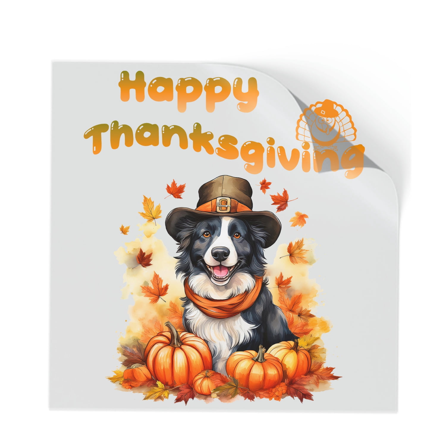 Happy Thanksgiving Border Collie Welcome Thankful Fall Autumn Pumpkin ...