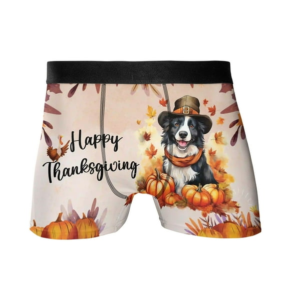 Happy Thanksgiving Border Collie Welcome Thankful Fall Autumn Pumpkin All Over Print Boxer Briefs Underwear for Men Dad Borders Dog Lovers Gifts Idea - 02021