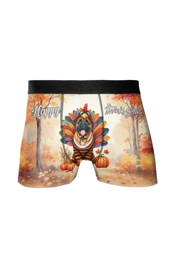 Happy Thanksgiving Bullmastiff Turkey Costume Pumpkins Autumn Leaves All Over Print Boxer Briefs Underwear for Men Dad Dog Lover - 13014