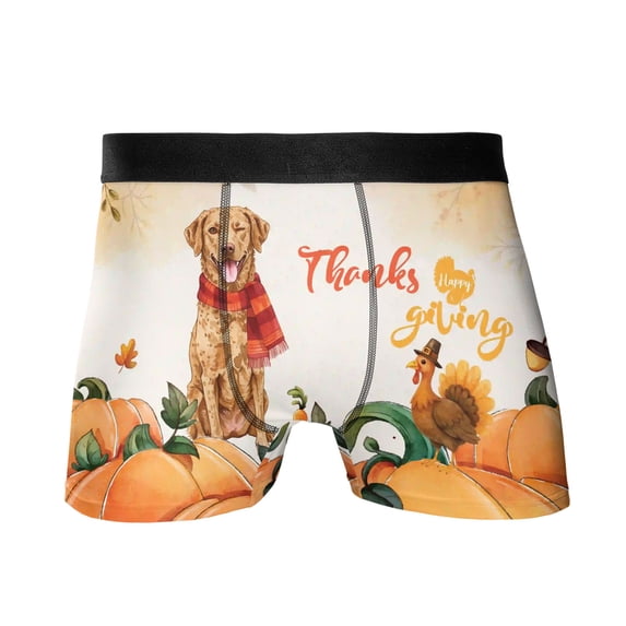 Happy Thanksgiving Chesapeake Bay Retriever with Turkey Pumpkins Autumn Vibes All Over Print Boxer Briefs Underwear for Men Dad Chessie Dog Lover - 12018