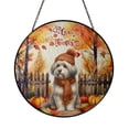 thumbnail image 1 of Happy Thanksgiving Havanese Give Thanks Fall Beanie Scarf Welcome Stained Glass Suncatcher Havanese Dog Lover Gifts Idea Window Hanging Sign Decor - 00020, 1 of 5