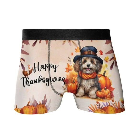 Happy Thanksgiving Havanese Welcome Thankful Fall Autumn Pumpkin All Over Print Boxer Briefs Underwear for Men Dad Havanese Dog Lover Gifts Idea - 02021