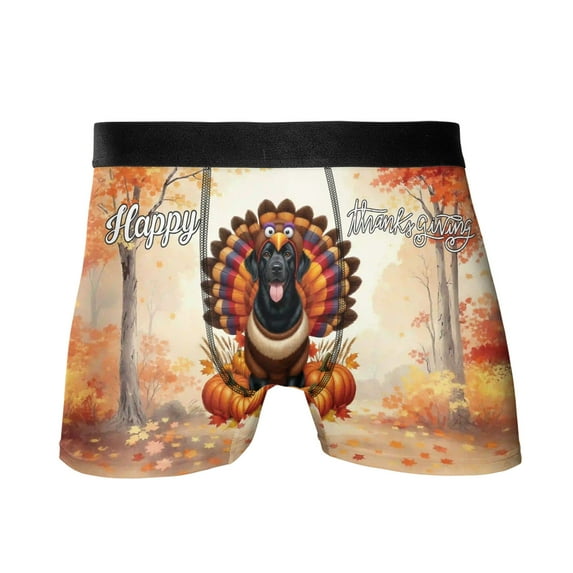Happy Thanksgiving Labrador Retriever Turkey Costume Pumpkins Autumn Leaves All Over Print Boxer Briefs Underwear for Men Dad Lab Dog Lover Gifts - 13014