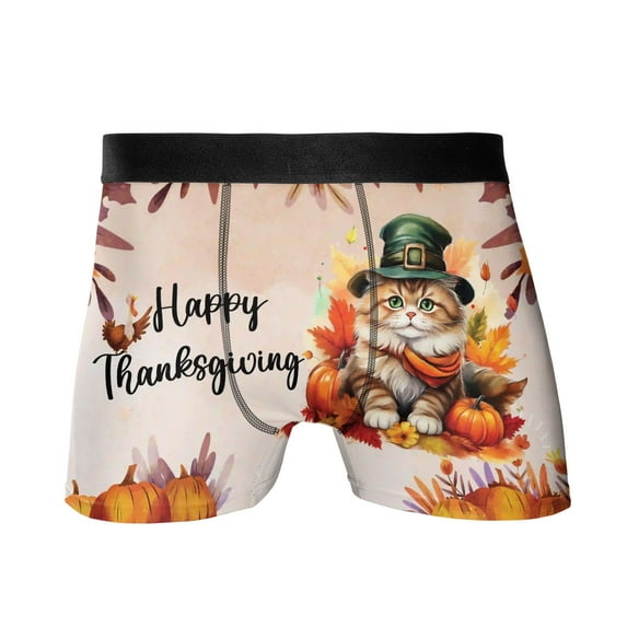 Happy Thanksgiving Persian Welcome Thankful Fall Autumn Pumpkin All Over Print Boxer Briefs Underwear for Men Dad Cat Lover Kitten Owner Gifts - 02021