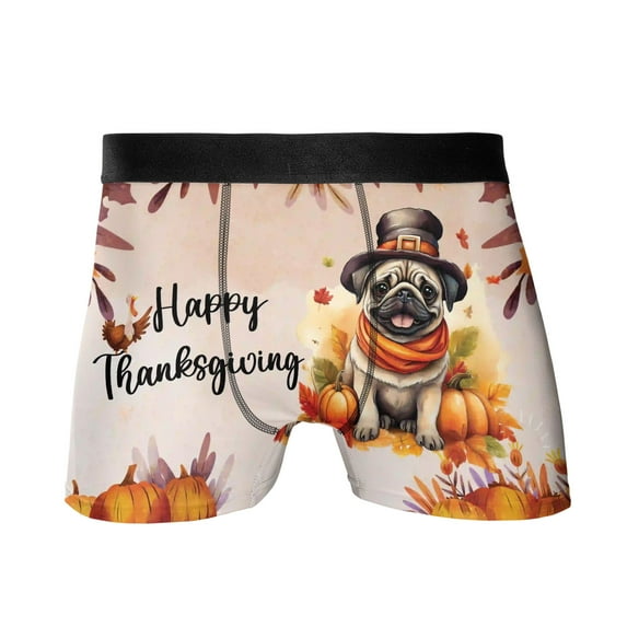Happy Thanksgiving Pug Welcome Thankful Fall Autumn Pumpkin All Over Print Boxer Briefs Underwear for Men Dad Dog Lover Gifts - 02021