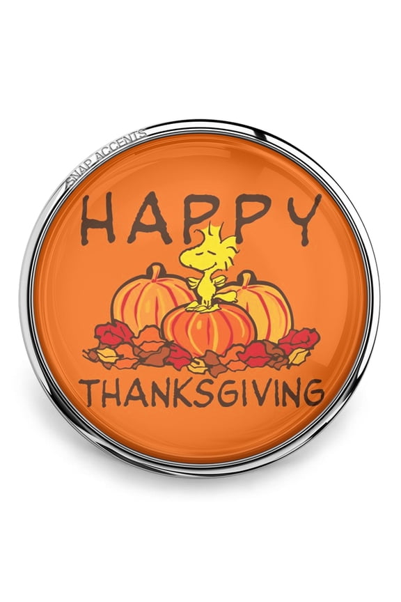 Happy Thanksgiving Pumpkins Snap Jewelry Ginger Charm Button, For Interchangeable DIY Customizable Accessories