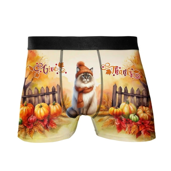 Happy Thanksgiving Ragdoll Give Thanks Fall Beanie Scarf Welcome All Over Print Boxer Briefs Underwear for Men Dad Cat Lover Kitten Owner Gifts Idea - 00020