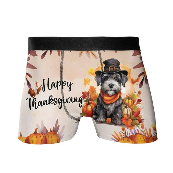 Happy Thanksgiving Schnauzer Welcome Thankful Fall Autumn Pumpkin All Over Print Boxer Briefs Underwear for Men Dad Miniature Schnauzer Dog Lover - 02021