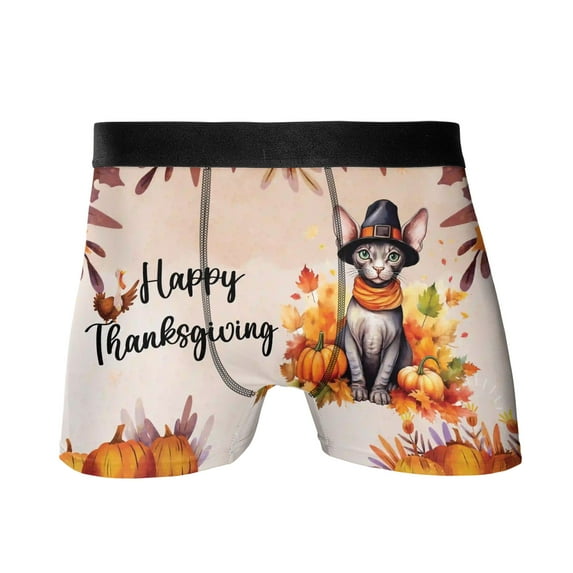 Happy Thanksgiving Sphynx Welcome Thankful Fall Autumn Pumpkin All Over Print Boxer Briefs Underwear for Men Dad Cat Lover Kitten Owner Gifts Idea - 02021