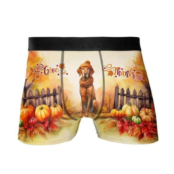 Happy Thanksgiving Vizsla Give Thanks Fall Beanie Scarf Welcome All Over Print Boxer Briefs Underwear for Men Dad Vizslas Dog Lover Gifts Idea - 00020