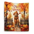 thumbnail image 1 of Happy Thanksgiving Vizsla Give Thanks Fall Beanie Scarf Welcome Quilt Blanket Vizslas Dog Lover Gifts Idea Cozy Comforter Throw Blanket - 00020, 1 of 5