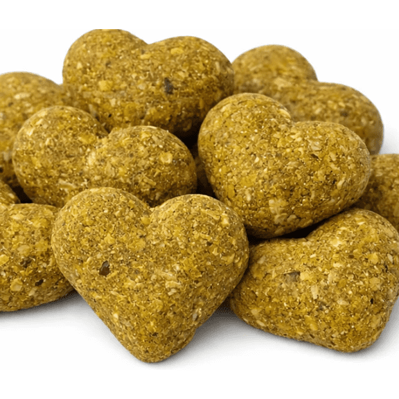 Happy Tummy Pumpkin Ginger Probiotic Crunchy Dog Treats for Dogs (1 lb)