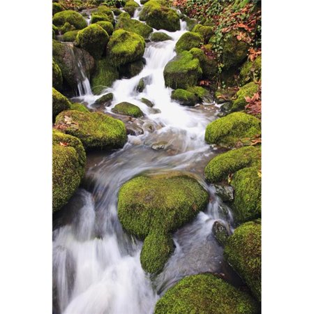 Happy Valley - Oregon - United States of America - Green Moss On The Rocks Along A Small Waterfall Poster Print Large