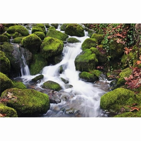 Happy Valley Oregon United States of America - Green Moss on the Rocks Along A Small Waterfall Poster Print 38 x 24