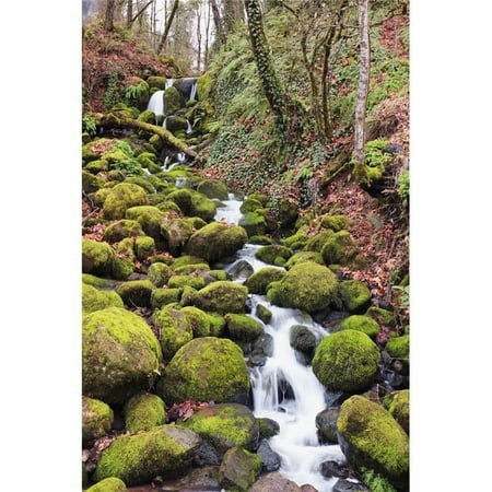 Happy Valley Oregon United States of America - Green Moss on the Rocks Along A Small Waterfall Poster Print
