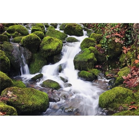 Happy Valley Oregon United States of America - Green Moss on the Rocks Along A Small Waterfall Poster Print