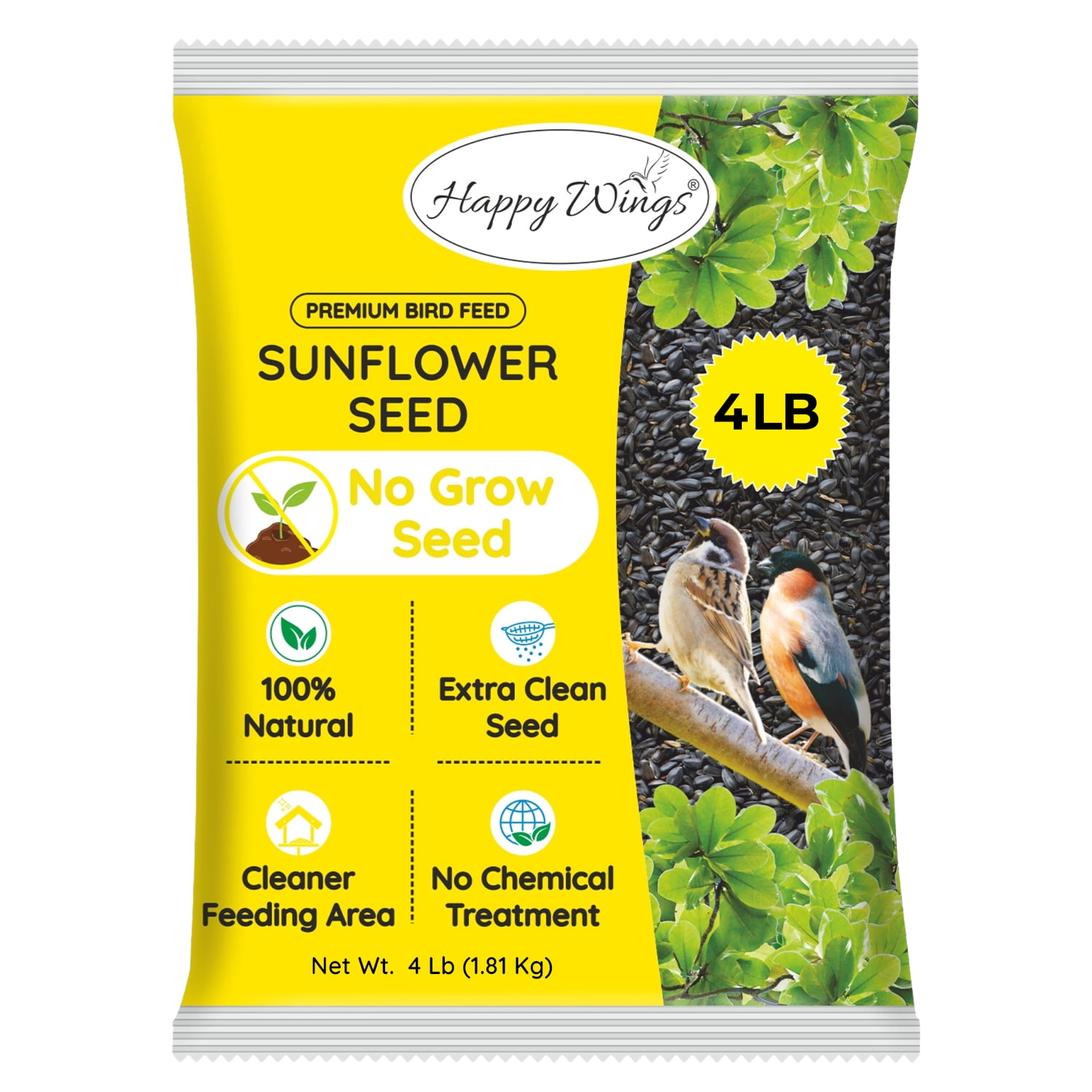 Is It Okay to Feed Wild Birds Seed? Essential Tips Revealed