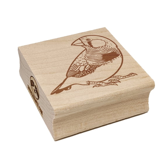 Happy Zebra Finch Bird Square Rubber Stamp Stamping Scrapbooking Crafting - Large 2.75in