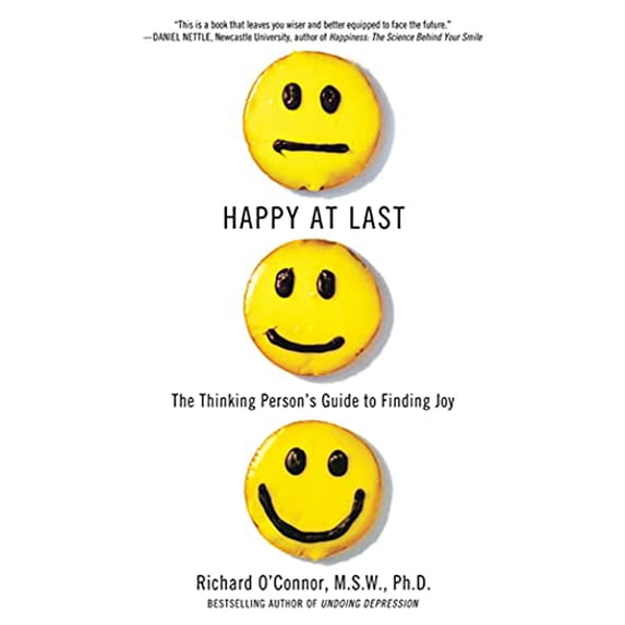 Pre-Owned Happy at Last: The Thinking Person's Guide to Finding Joy (Paperback) 0312369077 9780312369071