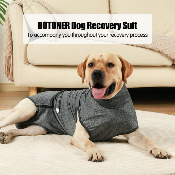 Happy date Dog Recovery Suit Abdominal Wound Puppy Surgical Clothes Post-Operative Vest Pet After Surgery Wear Substitute E-Collar & Cone
