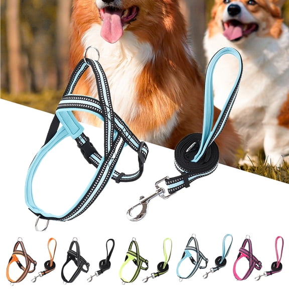 Happy date No Pull Dog Harness Soft Adjustable Basic Nylon Step in Puppy Vest Outdoor Walking with Rope