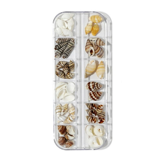 Happydeer 1 Box Nail Decoration Ocean Style Creative Shape Plentiful Quantity Multiple Styles Wide Application Decorative Plastic 3D Natural Starfish Seashell Nail Art Charms Decor Nail Supplies