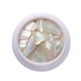 thumbnail image 1 of Happydeer 1 Box Nail Shells Irregular 3D Effect Flashing Crushed Stone Decorative Nail Art Decoration Phantom Color Natural Abalone Shell Pieces Nail Art Flakes for Salon, 1 of 13