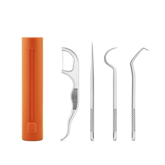 Happydeer 4Pcs/Set Dental Calculus Remover with Storage Tube Portable Simple Safe Effective Reduce Gingivitis Risk Lightweight Stainless Steel Toothpick Set for Home