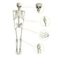 thumbnail image 1 of Happydeer 5.4Ft/165cm Halloween Skeleton Full Body Life Size Human Bones with Movable Joints for Indoor Outdoor Halloween Props Decorations, 1 of 12