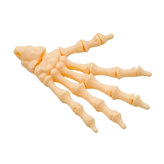 Happydeer Ghost Hand Decoration Realistic 3D Printed Skeleton Hand Model Haunted House Ornament DIY Project Accent (, Beige)