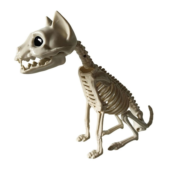 Happydeer Halloween Animal Skeletons Dog Bat Frog Scorpion Spider Snake Rat Bone Skeletons for Halloween Party Haunted House Graveyard Scene Decoration (Type R)