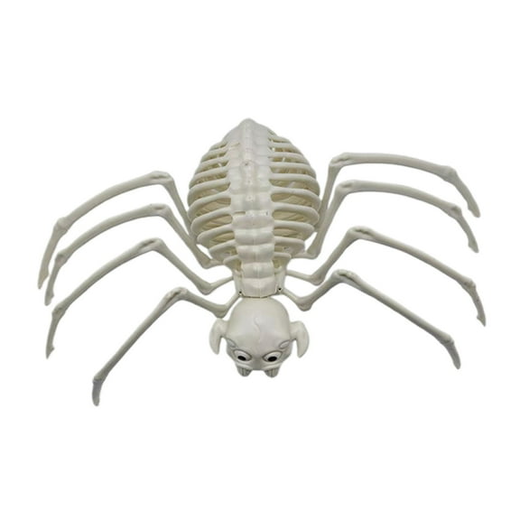 Happydeer Halloween Animal Skeletons Dog Bat Frog Scorpion Spider Snake Rat Bone Skeletons for Halloween Party Haunted House Graveyard Scene Decoration (Type S)
