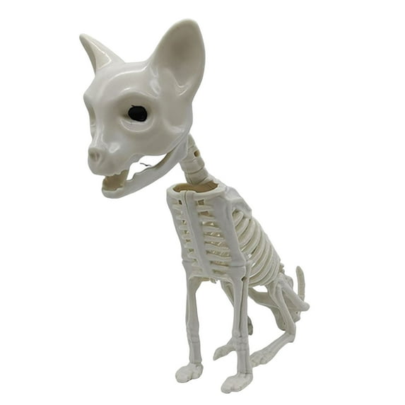 Happydeer Halloween Animal Skeletons Dog Bat Frog Scorpion Spider Snake Rat Bone Skeletons for Halloween Party Haunted House Graveyard Scene Decoration (Type G)