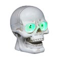 thumbnail image 1 of Happydeer Halloween Pumpkin Lantern Resin Light Up Pumpkin/Skull Figurine LED Pumpkin Lamp for Haunted House Halloween Party Garden Patio Decor (Skull), 1 of 11