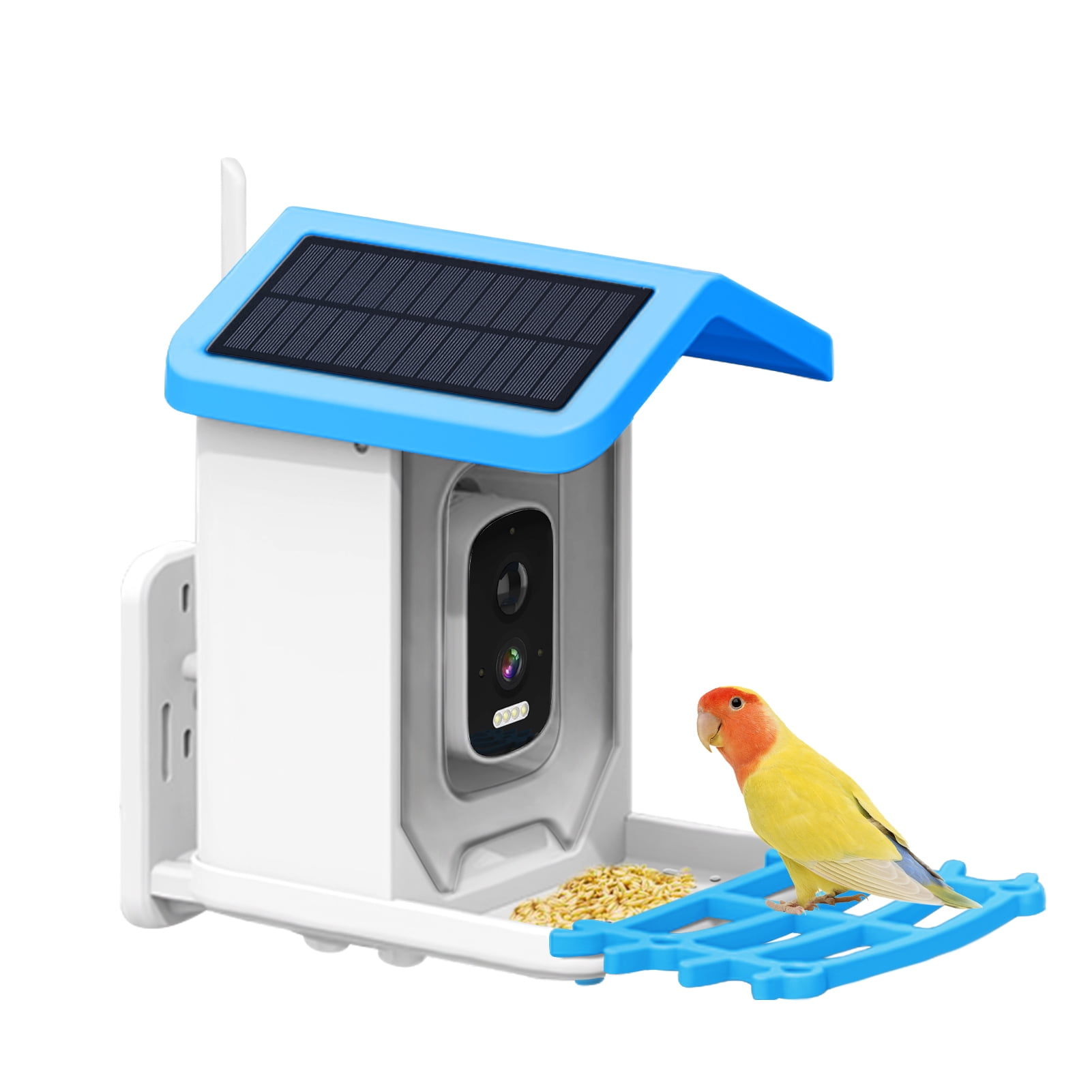 Happydeer Smart Bird Feeder with Camera, Solar Powered Camera, AI ...