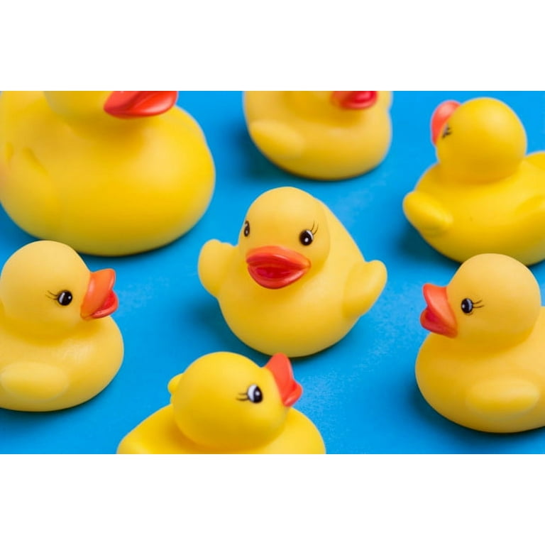 Buy Classic Yellow Rubber Ducks (Pack of 12) at S&S Worldwide