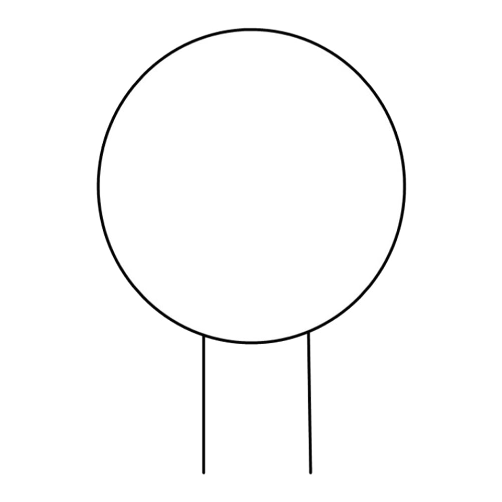 Haqieyen Circle Vine Stem Support for Climbing Plants