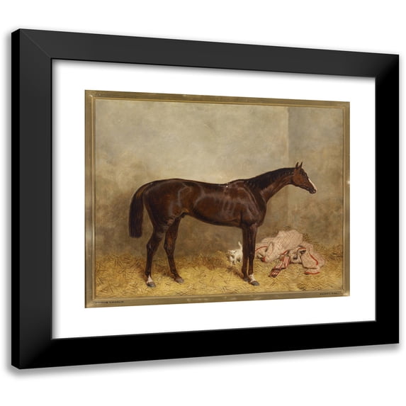 Harald R Hall 24x20 Black Modern Framed Museum Art Print Titled - Prince Charlie