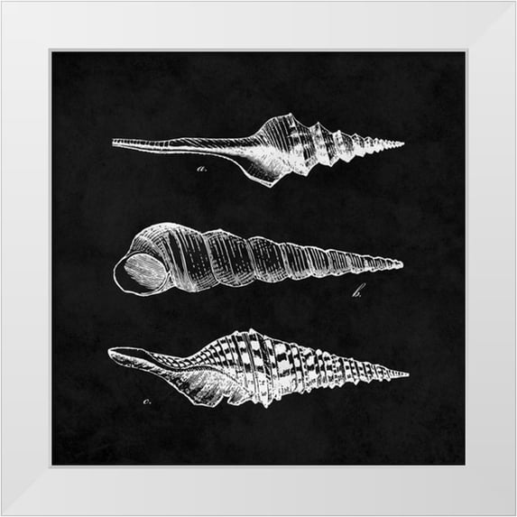 Harbick, N 12x12 White Modern Wood Framed Museum Art Print Titled - Elegant Negative II