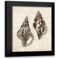 thumbnail image 1 of Harbick, N 12x14 Black Modern Framed Museum Art Print Titled - Elegant Shells I - mini, 1 of 5