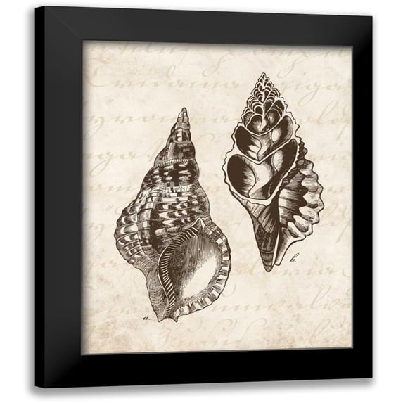 Harbick, N 12x14 Black Modern Framed Museum Art Print Titled - Elegant Shells I - mini